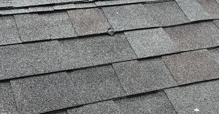 flat roof inspection
