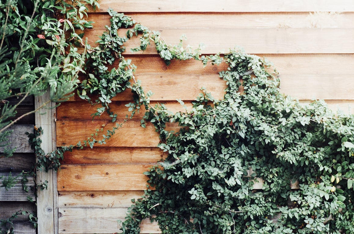 Siding Replacement Cost: What U.S. Homeowners Should Budget For
